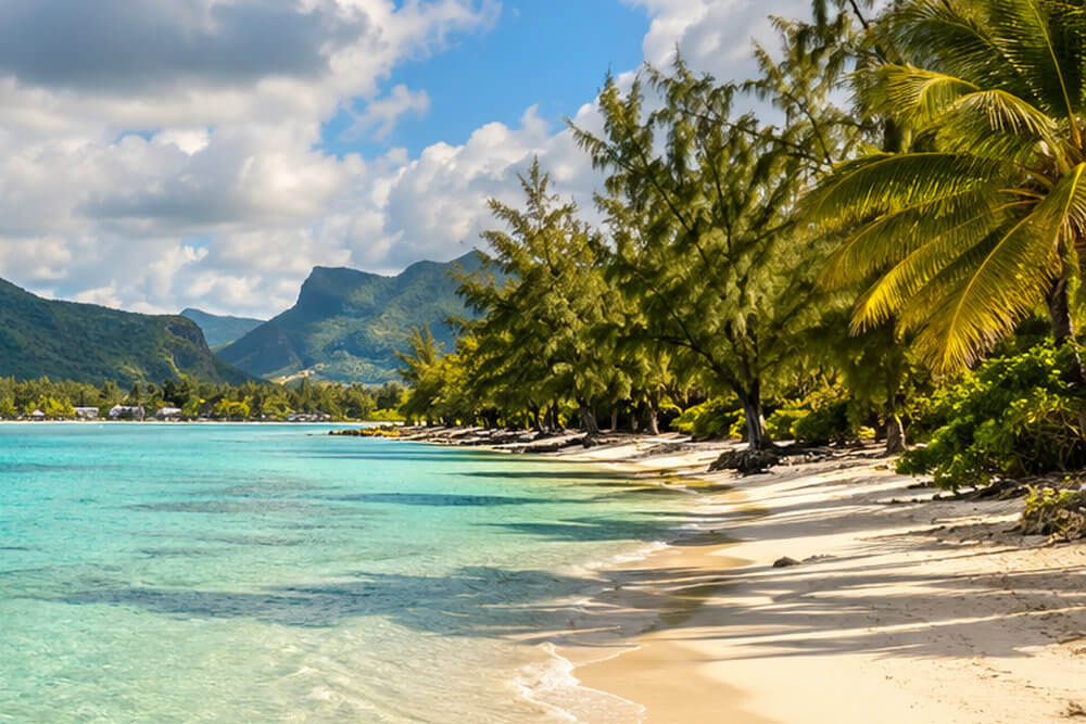 Palmy nad piaszczystą plażą i turkusową wodą na Mauritiusie