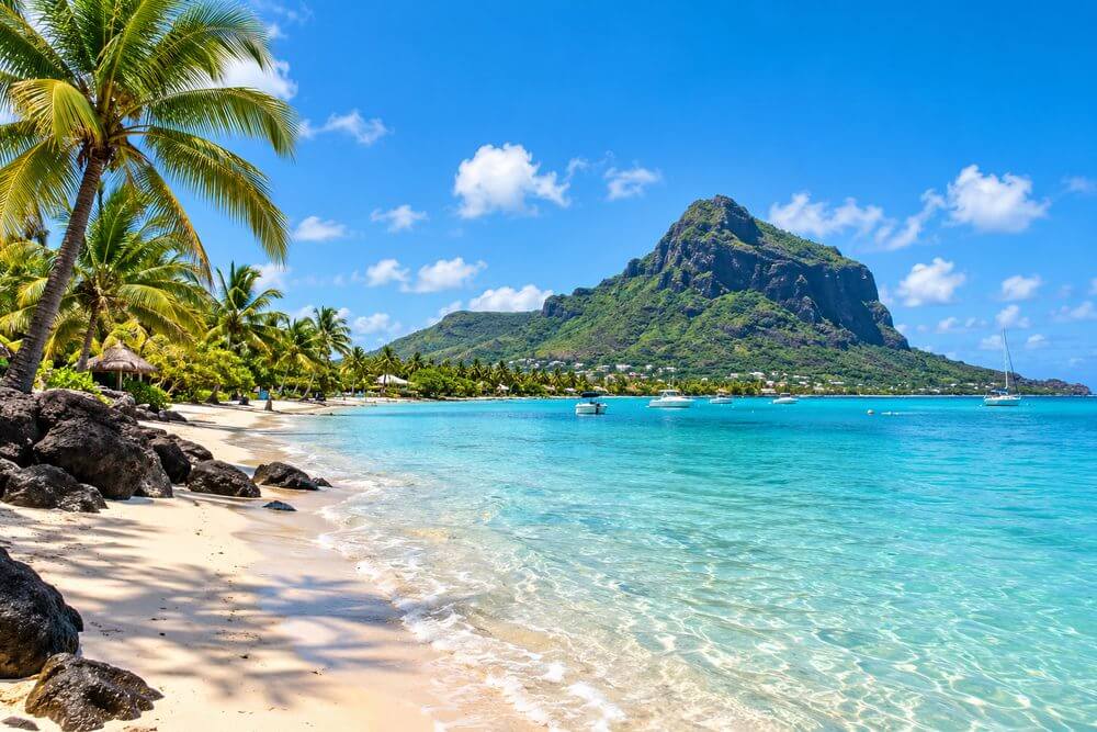 Palmy nad piaszczystą plażą i laguną na Mauritiusie